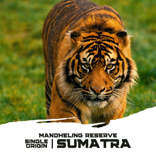 Sumatra Mandheling Reserve