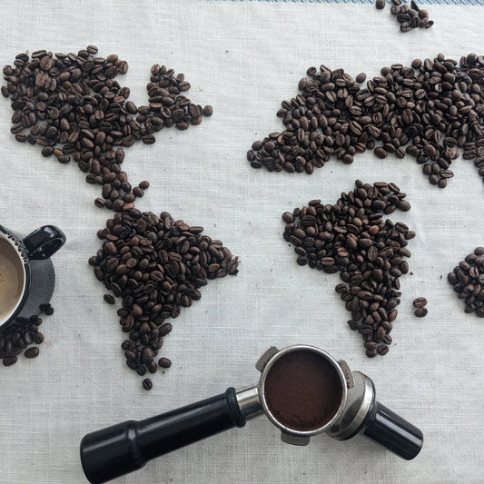 Sustainable Choices: The Ripple Effect on the Planet - Xero Coffee