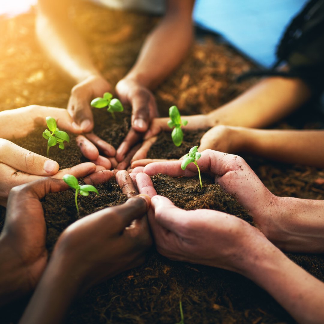 The Future of Coffee: Supporting Sustainable Practices in Every Sip - Xero Coffee