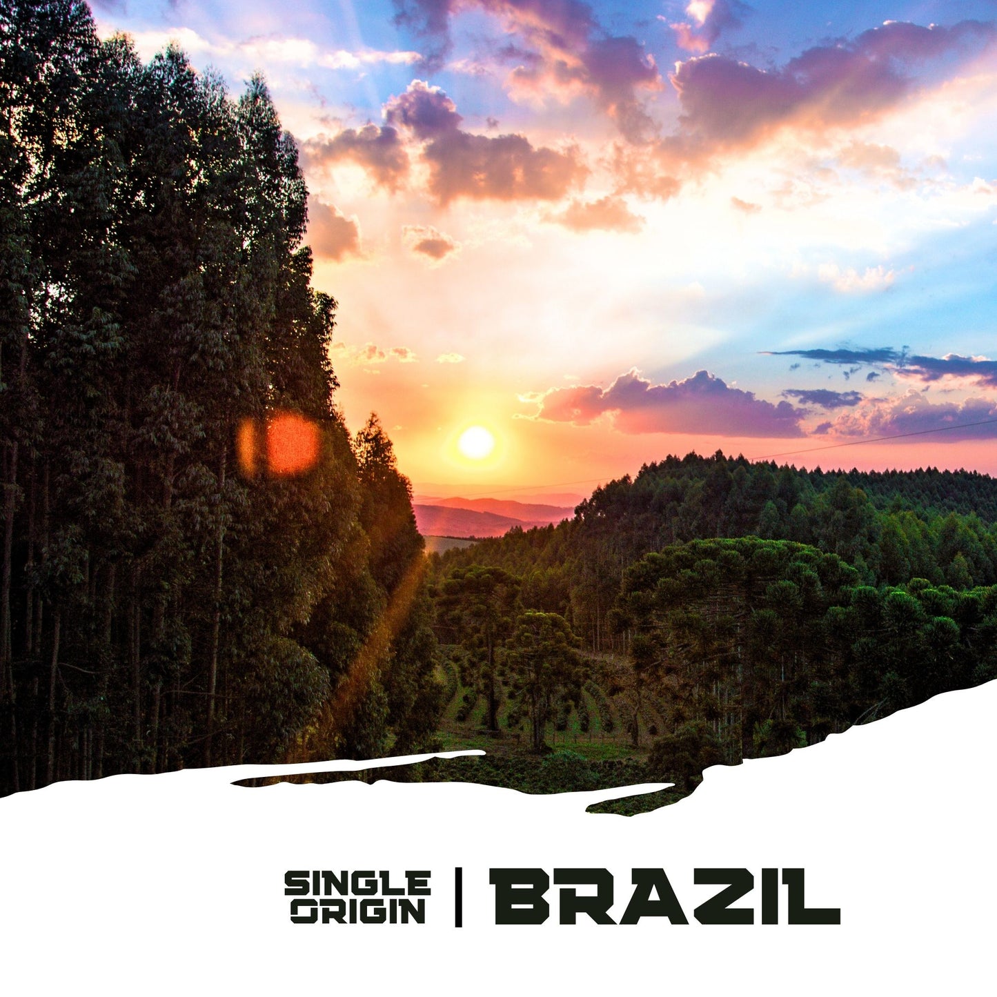 Brazil Cerrado