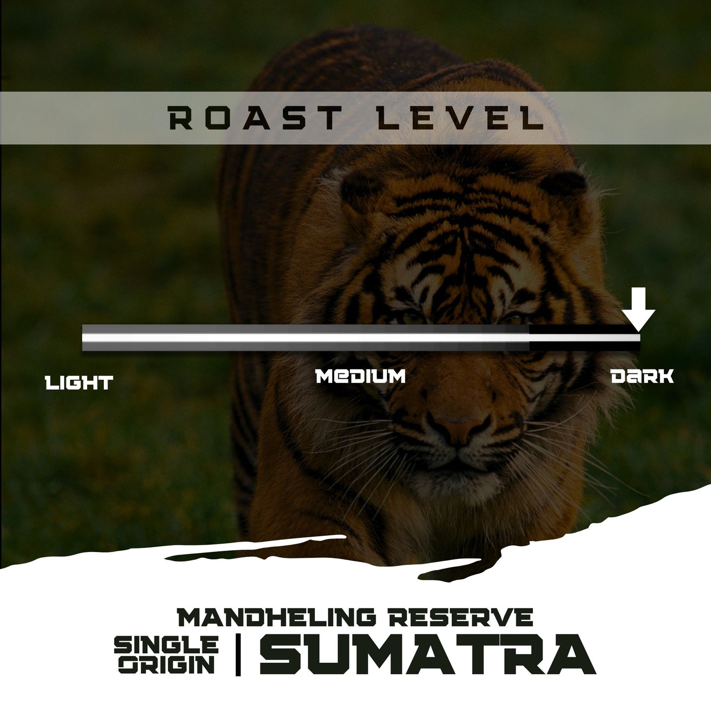 Sumatra Mandheling Reserve